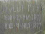 image of grave number 73654